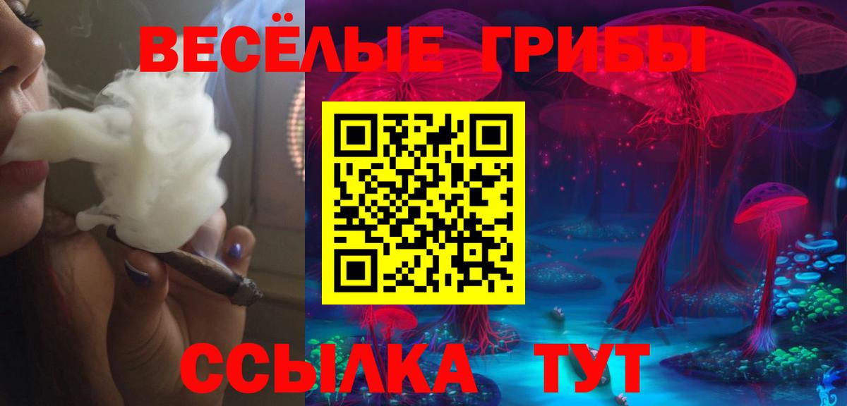 Псилоцибиновые грибы Psilocybe Хасавюрт
